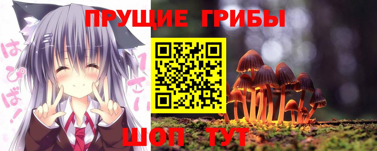 Галлюциногенные грибы Psilocybe Архангельск