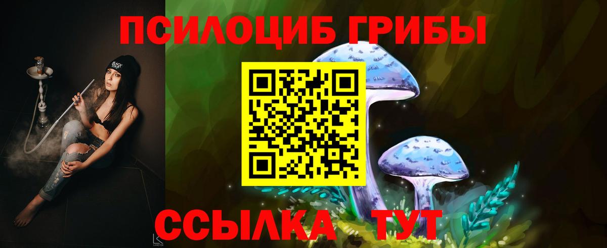 Псилоцибиновые грибы прущие грибы  Вход с VPN  Архангельск 